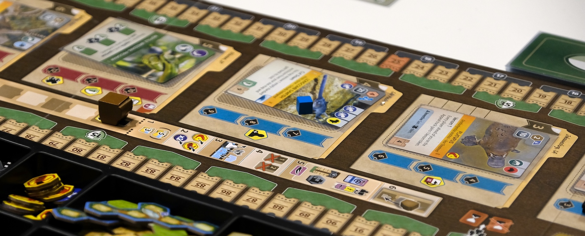 Arrangemangsanmälan öppen!